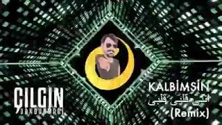 Kalbimsin RemixArabic song [upl. by Baskett]