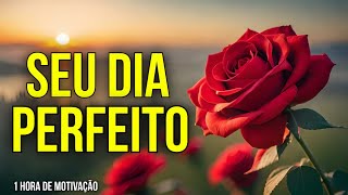 1 HORA DE MOTIVAÇÃO COM AFIRMAÇÕES E DECRETOS PARA TER UM DIA PERFEITO [upl. by Bunch667]