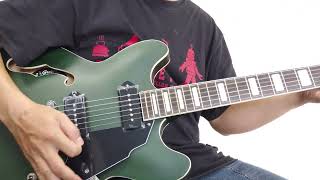 GROTE 335 SEMI HOLLOW P90 Satin Green sound test [upl. by Ydda]