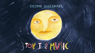 Cosmo Sheldrake  Stop The Music Official Video [upl. by Atnom]