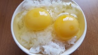 Raw Eggs Over Rice 生鸡蛋拌饭 [upl. by Ninnette224]