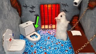 🐹 Hamster Escapes the DIY Maze for Pets in real life 🐹 in Hamster Stories [upl. by Ender572]