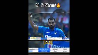 Mohmmed Shami Showing Class Bowling 😱😱🔥🔥shorts trending ytshorts youtubeshorts [upl. by Ev684]