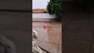 Barish lofi music love cover slowedreverb baarishkeaanese [upl. by Yttam]