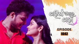 Tarini Akhira Tara  Full Ep 1042  24th July 2021  Odia Serial – TarangTV [upl. by Petronella]