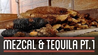 Mezcal and Tequila 13  How to Brew Everything [upl. by Sterling221]