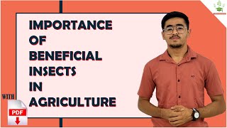 IMPORTANCE OF BENEFICIAL INSECTS IN AGRICULTURE [upl. by Akemihs358]