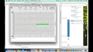 Analyze primers on a plasmid using ApE [upl. by Scharaga64]