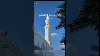 Maher AlMuaiqly Surah AlJinn 1822 Quran Recitationالقرآنالكريم short whatsappstatusrwa iu [upl. by Aleet]