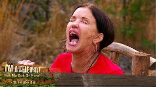 Puking up Lambs Testicles  Im A Celebrity South Africa [upl. by Gaughan]