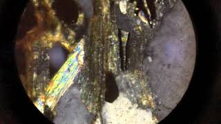 Petrology Thin Section Graphite Schist [upl. by Carny]