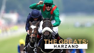 THE GREATS 2016 EPSOM DERBY WINNER  HARZAND [upl. by Wadlinger]