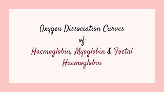 Oxygen Dissociation Curves of Haemoglobin Myoglobin amp Foetal Haemoglobin Gaseous Exchange [upl. by Onitnas]