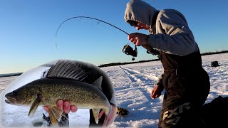 CRUSHING WALLEYE THROUGH THE ICE  Easy Technique That WORKS [upl. by Yrrok298]