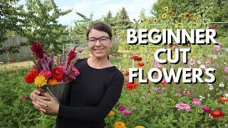 Cut Flower Garden for Beginners  From Seed to Bouquet [upl. by Vicky307]