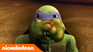 Les Tortues Ninja  Une attaque dinsectes  Nickelodeon France [upl. by Einreb959]