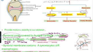 MSS pathology lecture 6 part 1 [upl. by Haggar]