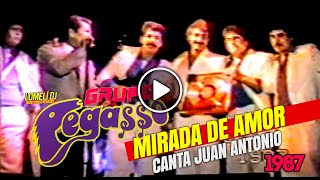 1987  MIRADA DE AMOR  Grupo PEGASSO  canta Juan Antonio  En Vivo [upl. by Sally129]