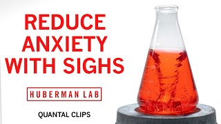 Reduce Anxiety amp Stress with the Physiological Sigh  Huberman Lab Quantal Clip [upl. by Barron]