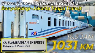 BANYUWANGI JAKARTA 1031 KM TANPA TRANSIT ‼️ Naik KA Blambangan Ekspres RUTE TERJAUH DI INDONESIA [upl. by Dever]