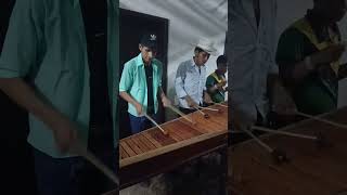 Marimba Zonora Jocoteca de canapara abajo Jocotán Chiquimula [upl. by Zeph]