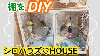 DIY 棚を鳥かごにリメイク❣️シロハラズシロハラインコめめラムちゃんかわいい鳥かごhandmade [upl. by Entirb153]