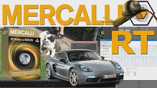 Mercalli V5 EDIUS Suite mit Mercalli RT 🚀 deutsch [upl. by Lashonde]