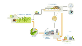 Sugar cane  A source of renewable energy [upl. by Aramoy908]