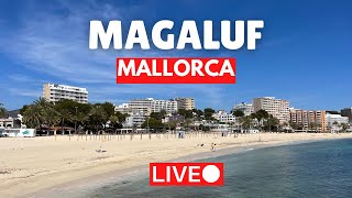 🔴 Magaluf LIVE Majorca Mallorca 16 April 2023 [upl. by Pincas662]