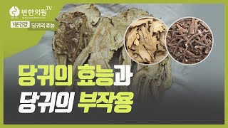 1분 건강 신경통 혈액순환에 좋은 당귀 효능과 부작용 [upl. by Aminta]