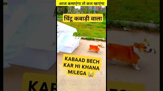 चिंटू कबाड़ी बन गया 🐶 cutest dog funny story hindi 😄 cutepuppies cutepuppy [upl. by Nutsud]