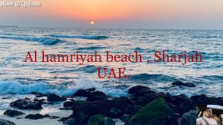 Visit to Al Hamriya beach Sharjah UAE Attractions best places of UAESaturday 1210  2024 [upl. by Yrrep]