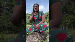 How to kallakozhi pidippathu 🤣😂 funnyvideo comedy kilinochchi funny kuttyfun tamilcomedy [upl. by Yerffoej351]