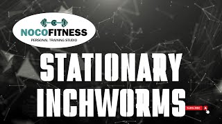 How to Do the Stationary Inchworm Exercise  FullBody Mobility amp Strength with NoCo Fitness [upl. by Earehc389]