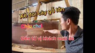 Theo dõi em để chờ đón một vị khách đặc biệt xẻ đôi cây gỗ lớn [upl. by Savil]