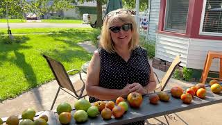 Andrea Cans and Picks A LOT of Tomatoes [upl. by Bate]