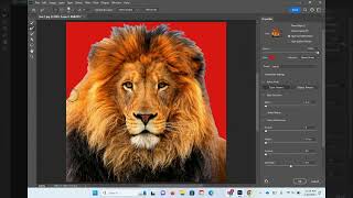 Photoshop Refine Edge Tool [upl. by Laurentium]