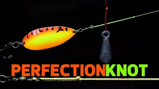 Perfection Loop Knot Essential Fishing Knot for Every Angler StepbyStep Guide [upl. by Letty940]