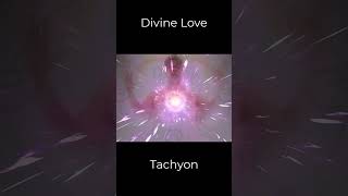 Divine Love Tachyon Energy Healing One Minute Transmission [upl. by Larrabee]