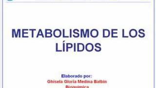 Metabolismo Lipídico [upl. by Roee]