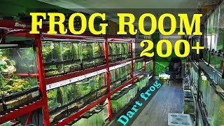 Insane Frog Room Tour 200 FROGS [upl. by Egbert]