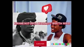 KWAME NUT FT SHATTA WALE WOA WASEM [upl. by Coyle612]