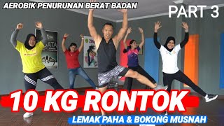 10 KG LEMAK RONTOK  AEROBIK PENURUNAN BERAT BADAN  PART 3 BANTAI LEMAK PAHA [upl. by Adnah140]