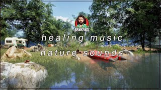 Healing Meditation  frequenzy music with nature sounds [upl. by Nyrraf]