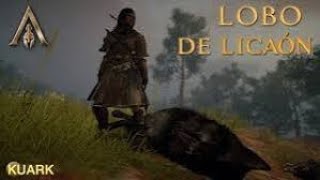 Assassinn creed odissey  kassandra vs El lobo legendario [upl. by Nottarts845]