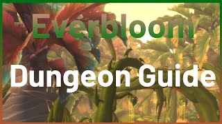 Everbloom Full Guide Dragonflight Season 3 [upl. by Morra879]