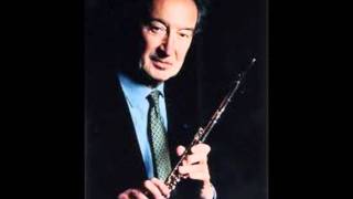 Donizetti sonata for flute and piano [upl. by O'Donovan]