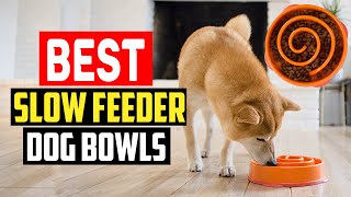 WHAT I FEED MY DOG 👉 Plus kibble topper ideas [upl. by Archibaldo]