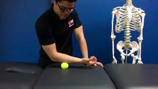 Épicondylite  Tennis Elbow  Mobilisations avec Balle [upl. by Notsahc]