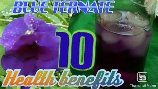 10 health benefits of Blue ternate tea [upl. by Kylstra311]